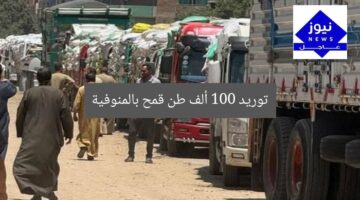 توريد 100 ألف طن قمح بالمنوفية