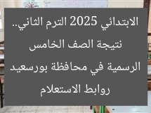 نتيجة الصف الخامس الابتدائي 2025 الترم الثاني.. روابط الاستعلام الرسمية في محافظة بورسعيد