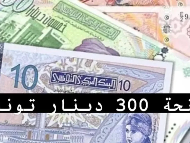 التسجيل اتفتح تاني رسميًا .. وزارة الشئون توضح منحة تونس للأسر المستحقة 2025 بيان شامل