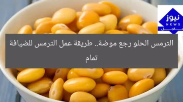 الترمس الحلو رجع موضة.. طريقة عمل الترمس للضيافة تمام