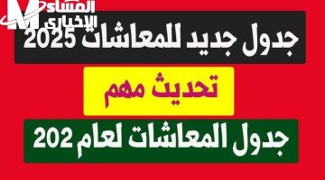 الفرحة جاية بالتفاصيل كلها .. جدول المعاشات 2025 نزل إعلان رسمي