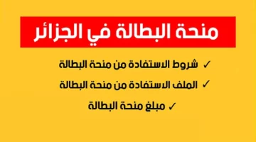 [العنوان المعاد صياغته]  
منحة البطالة 2025: الدعم الحكومي ينقذك من الأزمة ويُفتح لك باب الرزق  

[KEYWORDS_SECTION_START]  
منحة البطالة, الدعم الحكومي, فرص رزق