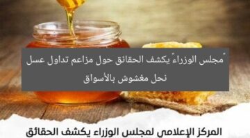 «مجلس الوزراء» يكشف الحقائق حول مزاعم تداول عسل نحل مغشوش بالأسواق