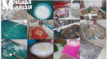 طريقة تنظيف الموكيت بخطوات سهلة ونصائح للحفاظ عليه