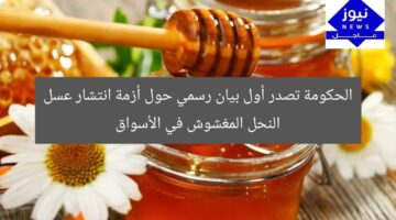 الحكومة تصدر أول بيان رسمي حول أزمة انتشار عسل النحل المغشوش في الأسواق