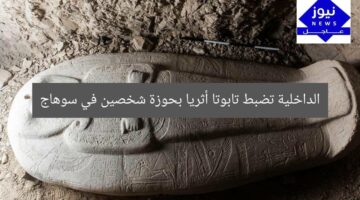 الداخلية تضبط تابوتا أثريا بحوزة شخصين في سوهاج
