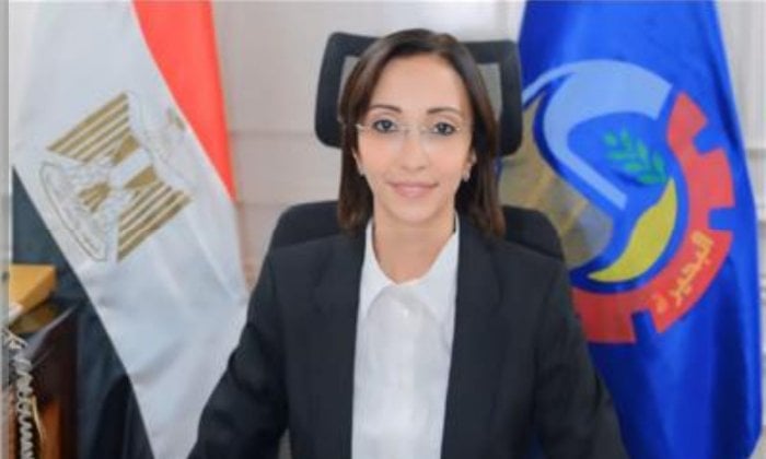 60 مشروعًا مياه الشرب والصرف الصحي بـ6 مليارات جنيه في البحيرة