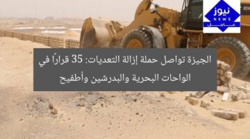 الجيزة تواصل حملة إزالة التعديات: 35 قرارًا في الواحات البحرية والبدرشين وأطفيح