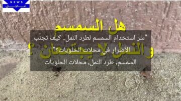 “سر استخدام السمسم لطرد النمل.. كيف تجنّب الأضرار في محلات الحلويات؟”  
السمسم, طرد النمل, محلات الحلويات
