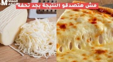 سر المطّة اللي بتجنن.. طريقة عمل الجبنة الموتزاريلا اقتصادية ولذيذة وهتنجز معاك
