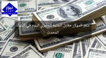 سعر الدولار مقابل الجنيه المصري اليوم في البنوك المُحدث