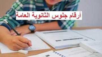 طريقة الحصول على أرقام جلوس الثانوية العامة 2025 بخطوات بسيطة عبر موقع وزارة التربية والتعليم