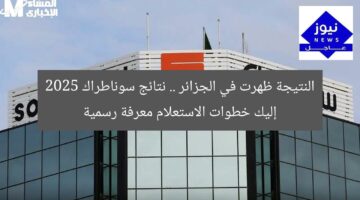 النتيجة ظهرت في الجزائر .. نتائج سوناطراك 2025 إليك خطوات الاستعلام معرفة رسمية