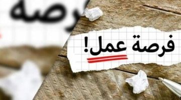 فرص عمل وهمية.. سقوط المتهم بالنصب والاحتيال على المواطنين بمدينة نصر
