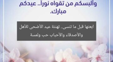 ابعتها قبل ما تنسى.. تهنئة عيد الأضحى للأهل والأصدقاء والأحباب حب ولمسة