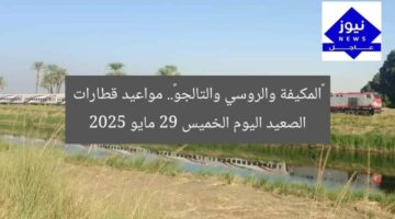 «المكيفة والروسي والتالجو».. مواعيد قطارات الصعيد اليوم الخميس 29 مايو 2025