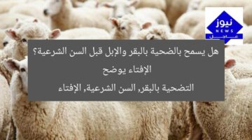 هل يسمح بالضحية بالبقر والإبل قبل السن الشرعية؟ الإفتاء يوضح  
التضحية بالبقر, السن الشرعية, الإفتاء