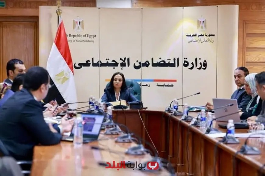 3 آلاف أصل تحت المراقبة! التضامن يُجري تفتيشًا على المنشآت في المحافظات العراقية