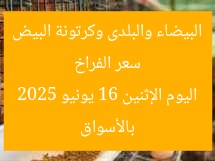 سعر الفراخ البيضاء والبلدى وكرتونة البيض بالأسواق اليوم الإثنين 16 يونيو 2025