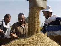 بكام الطن؟.. أسعار الأرز «الشعير والأبيض» اليوم الأحد 29 يونيو 2025 في أسواق الشرقية