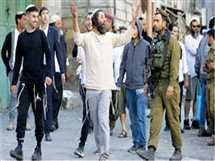 فلسطين تطالب بإجراءات دولية رادعة لوقف جرائم المستوطنين
