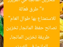“5 طرق فعّالة لتخزين المانجا في الفريزر للاستمتاع بها طوال العام”
طريقة تخزين المانجا, نصائح حفظ المانجا, تخزين المانجا في الفريزر
