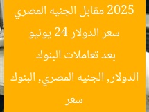سعر الدولار 24 يونيو 2025 مقابل الجنيه المصري بعد تعاملات البنوك
سعر الدولار, الجنيه المصري, البنوك