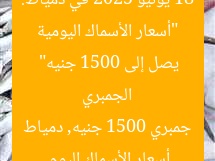 “أسعار الأسماك اليومية 18 يونيو 2025 في دمياط: الجمبري يصل إلى 1500 جنيه”
أسعار الأسماك اليوم, جمبري 1500 جنيه, دمياط