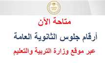 متاحة رسميًا.. أرقام جلوس الثانوية العامة 2025 وخطوات الاستعلام (رابط)