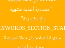 مصادرة 100% سلع غذائية منتهية الصلاحية في حملة تموينية بالإسكندرية (صور)