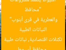 “محافظ أسيوط يتفقد مشروعات تكتلات اقتصادية زراعة النباتات الطبية والعطرية في قرى أبنوب”
محافظ أسيوط, تكتلات اقتصادية, نباتات طبية وعطرية