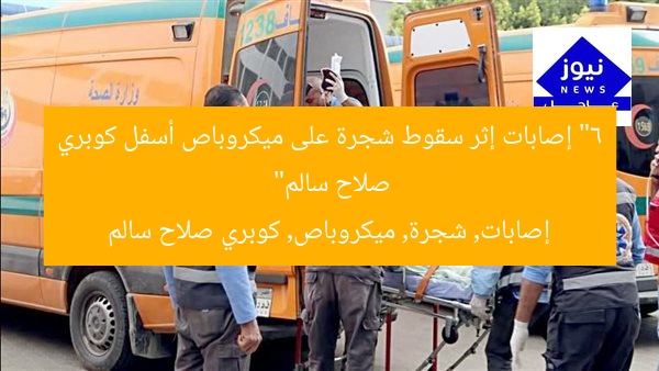 “6 إصابات إثر سقوط شجرة على ميكروباص أسفل كوبري صلاح سالم”
إصابات, شجرة, ميكروباص, كوبري صلاح سالم