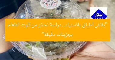 “بلاش أطباق بلاستيك.. دراسة تحذر من تلوث الطعام بجزيئات دقيقة”