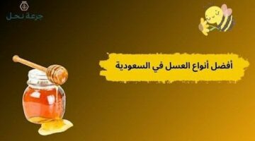 أفضل أنواع العسل في السعودية.. كيف تختار النوع المناسب لك؟