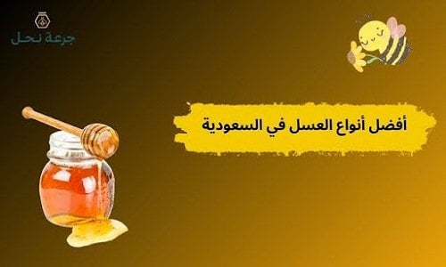 أفضل أنواع العسل في السعودية.. كيف تختار النوع المناسب لك؟