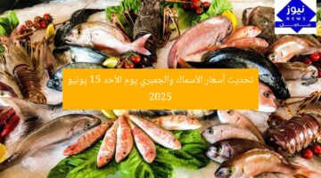 تحديث أسعار الأسماك والجمبري يوم الأحد 15 يونيو 2025