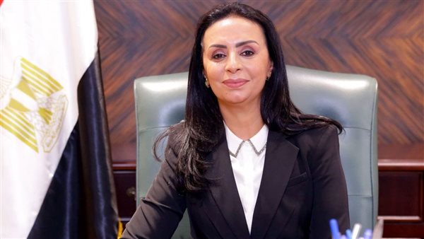 التضامن توجه بتعويض المتضررين من حادث مخزن الحدايد والبويات بالبراجيل