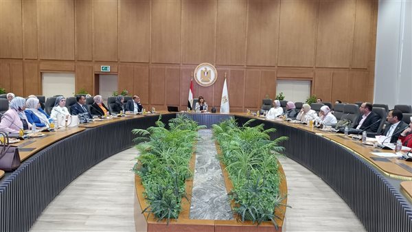 التعليم العالي تنظم برنامجًا تدريبيًا لرفع كفاءة مراكز خدمة الطلاب ذوي الإعاقة بالجامعات المصرية