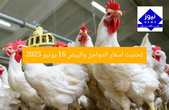 تحديث أسعار الدواجن والبيض 16 يونيو 2025