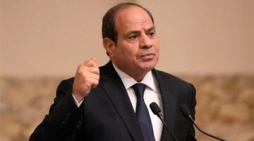 الرئيس السيسي: 30 يونيو ثورة خالدة شكلت ملحمة وطنية سطرها أبناء مصر