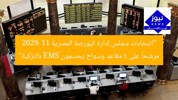 “انتخابات مجلس إدارة البورصة المصرية 2029: 11 مرشحًا على 4 مقاعد وسواح يحسمون “SME” بالتزكية”