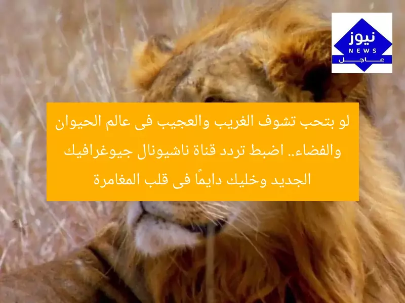 لو بتحب تشوف الغريب والعجيب فى عالم الحيوان والفضاء.. اضبط تردد قناة ناشيونال جيوغرافيك الجديد وخليك دايمًا فى قلب المغامرة