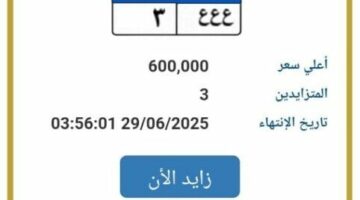 بـ 600 ألف جنيه.. المرور تطرح التزايد على لوحة سيارة مميزة