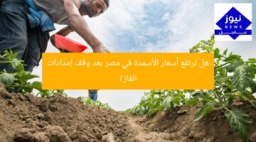 هل ترتفع أسعار الأسمدة في مصر بعد وقف إمدادات الغاز؟