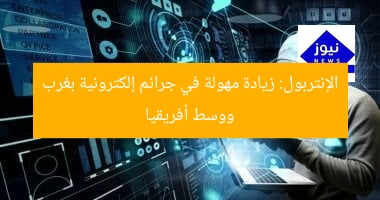 الإنتربول: زيادة مهولة في جرائم إلكترونية بغرب ووسط أفريقيا