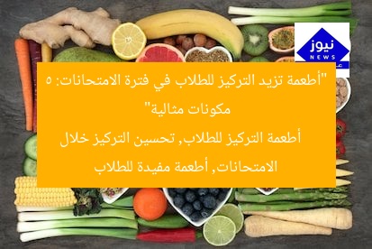 “أطعمة تزيد التركيز للطلاب في فترة الامتحانات: 5 مكونات مثالية”
أطعمة التركيز للطلاب, تحسين التركيز خلال الامتحانات, أطعمة مفيدة للطلاب