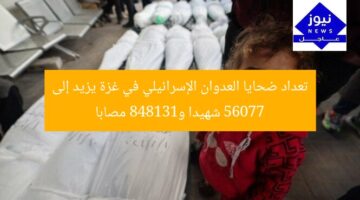 تعداد ضحايا العدوان الإسرائيلي في غزة يزيد إلى 56077 شهيدا و131848 مصابا