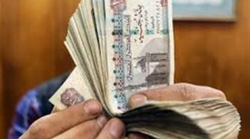 خطوات الاستعلام عن معاشات شهر يوليو 2025