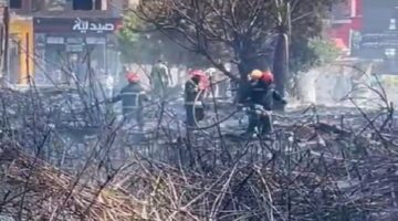 دون إصابات.. اندلاع حريق هائل بأرض فضاء مليئة بالبوص الزراعي غرب الإسكندرية
