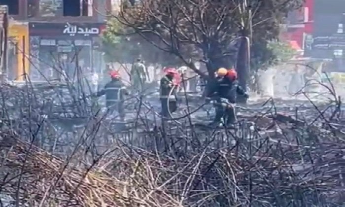 دون إصابات.. اندلاع حريق هائل بأرض فضاء مليئة بالبوص الزراعي غرب الإسكندرية